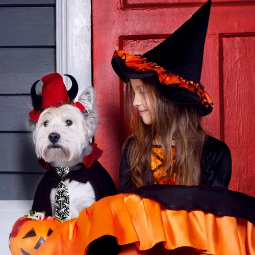 Miniatura 6 de Frienda 6 lazos de Halloween para perros pequeños, gatos, collares de perro de Halloween, ajustables, calavera, corbatas para mascotas, corbatas