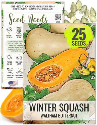 Miniatura 18 de Seed Needs Semillas de calabacín para plantar calabaza de verano Black Beauty, sin OMG, reliquia y sin tratar, rendimientos prolíficos de deliciosos