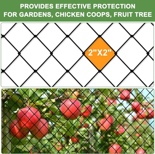 Miniatura 3 de Red para pájaros, red de nailon resistente de 25 x 25 pies con malla de 2 pies para protección del jardín, gallinero, árbol frutal, huerto