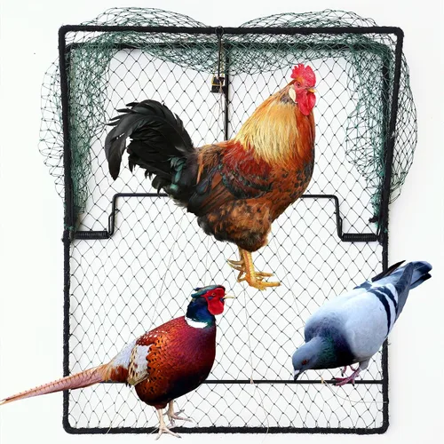 Trampa para Aves Codorniz Paloma Control de Animales Vivos Primavera Aprisionamiento de Estorninos y Pollos