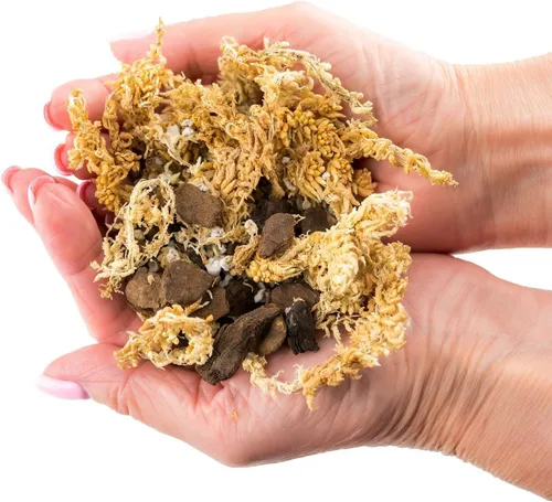 Miniatura 5 de Mezcla Premium de Musgo de Esfagno, Perlita y Corteza de Pino de Nueva Zelanda para Plantas Carnívoras - Perfecto para Trampas de Moscas Venus