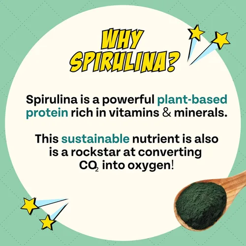 Miniatura 5 de Chippin Golosinas saludables para perros, galletas crujientes totalmente naturales con espirulina real, col rizada, avena, sin carne