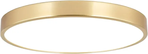 SOTTAE Lámpara de techo LED de metal dorado cepillado de 12 pulgadas, 3000-5000 K, 20 W, delgada, redonda, moderna, de perfil bajo, para dormitorio,