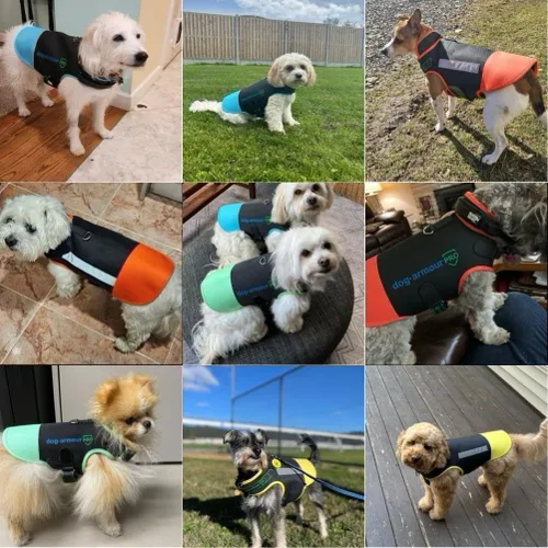 Miniatura 6 de Chaleco de protección para perros contra ataques, chaleco antimordeduras y antipenetración para coyotes, perros agresivos y aves de presa, Amarillo