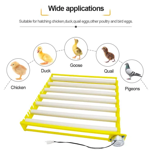 Miniatura 2 de HBtree - Bandeja de huevos para incubadora multifunción automática para pollos/patos/pájaros/aves de corral (7 tubos)