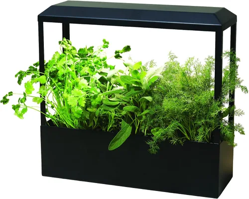 Miniatura 4 de Modern Sprout Smart Growhouse - Luz LED de cultivo para plantas de interior - Luz de cultivo de plantas para sistema de jardinería interior - Maceta