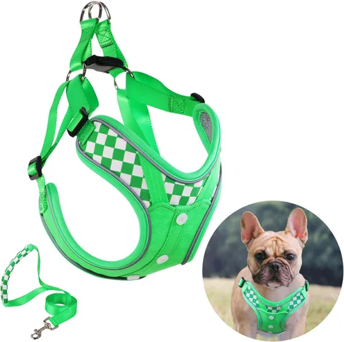 Miniatura 21 de Arnés para perro con juego de correa, arneses para cachorros con acolchado transpirable para entrenamiento y carrera de perros pequeños (XS, gris)