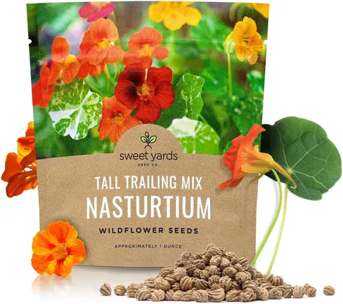 Semillas de capuchina – Colores mezclados – Paquete extra grande – Más de 200 semillas de flores polinizadas abiertas sin OMG – Tropaeolum majus