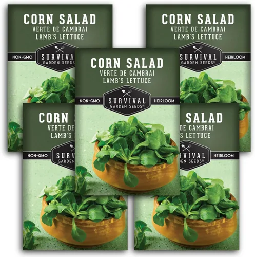 Miniatura 12 de Ensalada de maíz Verte de Cambrai Semillas para plantar, 1 paquete con instrucciones para plantar y cultivar lechuga de cordero o macé en tu huerto