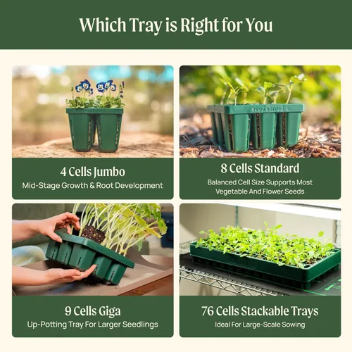 Miniatura 5 de Vego garden Bandejas de plántulas estándar sin tapa, paquete de 8 para plántulas, bandeja de inicio de cultivo reutilizable, kit de bandejas