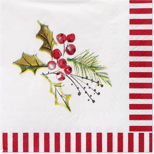 American Greetings 50 servilletas de bebidas de 5 pulgadas x 5 pulgadas por Kathy Davis, suministros para fiestas de Navidad