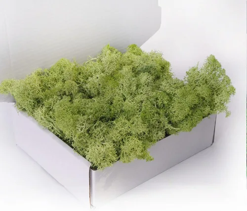 Musgo preservado, musgo de 3.5 onzas para manualidades, decoración de musgo sintético, musgo verde natural para decoración de pared de floristería