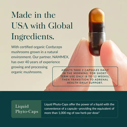 Miniatura 4 de Gaia Herbs Jump Start - Ayuda a mantener niveles saludables de energía y estrés - con Cordyceps, Schisandra, Rhodiola y Regaliz - 60 fito-cápsulas