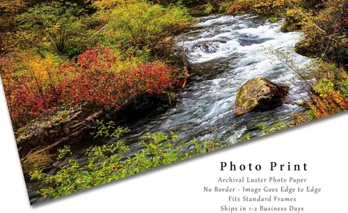 Miniatura 2 de Black Hills Photography Print (Not Framed) Picture of Creek Surrounded by Fall Foliage on Autumn Day in Spearfish Canyon South Dakota Nature Wall