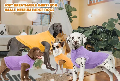 Miniatura 2 de Camisas de algodón en blanco para perros, ropa sencilla para perros medianos, amarillo y púrpura M Amarillo y Purply