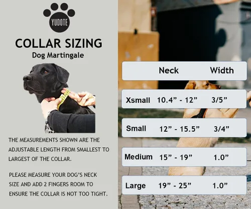 Miniatura 7 de Martingale - Collares para perros con hebilla a presión rápida, ajustable, patrón de flamenco, collares de entrenamiento sin tirones, para perros