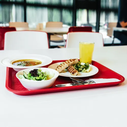 Miniatura 6 de uxcell Bandejas de plástico de comida rápida a granel de 10 x 14 pulgadas, bandejas rectangulares para servir, bandejas para cafetería, platos
