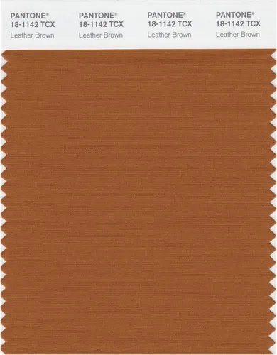 Miniatura 7 de PANTONE Tarjeta de muestra de color inteligente 18-1314X, bellota