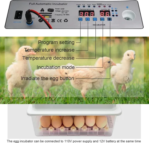 Miniatura 4 de Incubadoras para incubar huevos, incubadora de huevos con giro automático de huevos y control de humedad, incubadora de huevos para huevos