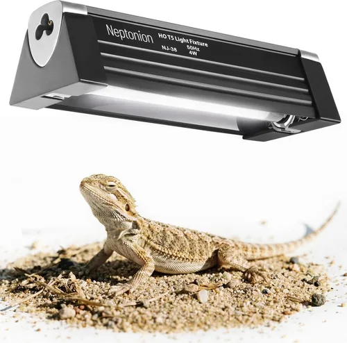 Luz UVB para reptiles T5 accesorio de 6.5 pulgadas con bombilla UVB 10.0 campana de alto rendimiento para terrarios, reptiles que toman el sol,
