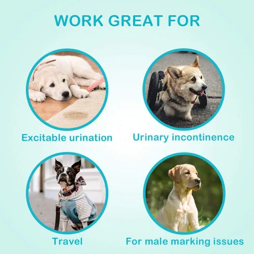 Miniatura 4 de Pañales absorbentes para perros machos, bandas para el vientre para perros con protección contra fugas, micción excitable, incontinencia