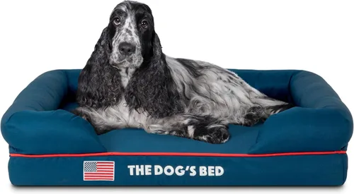Miniatura 52 de The Dog's Bed - Cama ortopédica de espuma viscoelástica para perros medianos, colchón de soporte de alta densidad, entrada frontal baja, funda negro
