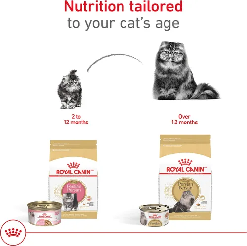 Miniatura 6 de Comida seca para gatitos persas de Royal Canin Nutrición para razas felinas, bolsa de 3 libras