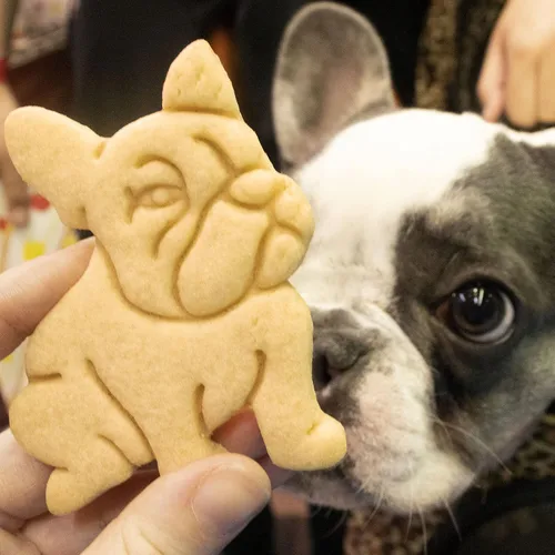 Miniatura 3 de Cortador de galletas Bulldog Francés, 1 pieza - Bakerlogy