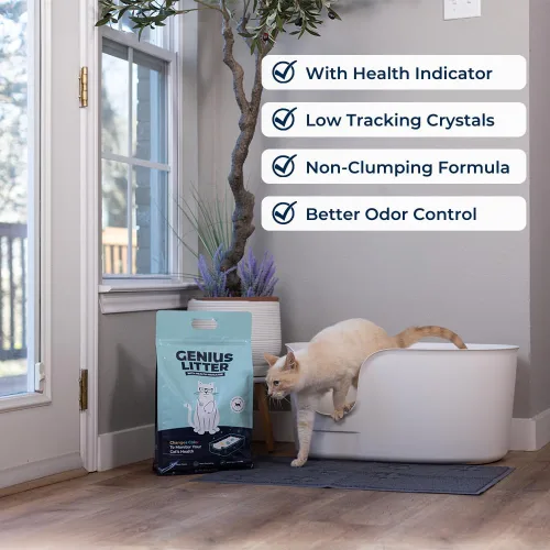 Miniatura 2 de Genius Litter Arena para gatos con monitoreo de la salud, presentada en Shark Tank, gel de sílice de cristal ligero, no se aglutina, sin polvo, bajo