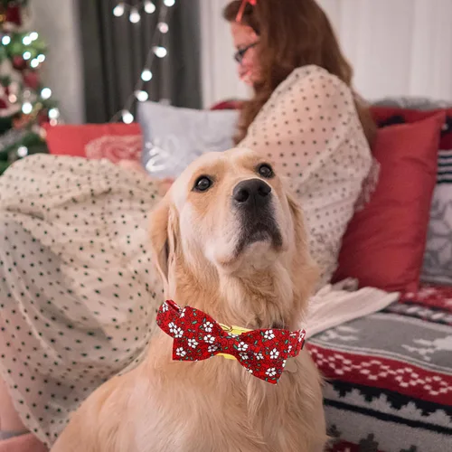 Miniatura 6 de Collar para perros Elegant little tail, collar navideño para perros con flor roja, collar festivo para mascotas, collar con lazo para perros, collar