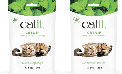 Miniatura 8 de Catit Burbujas de hierba gatera para estimular gatos de interior y exterior