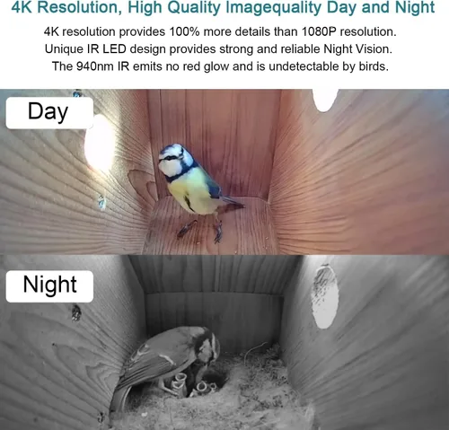 Miniatura 3 de Cámara WiFi para Nido de Pájaros WIWACAM, Instantánea HD 4K Vídeo 2K, Diseñada para Nidos de Pájaros, para Robins, Golondrinas, Vídeo en Vivo al