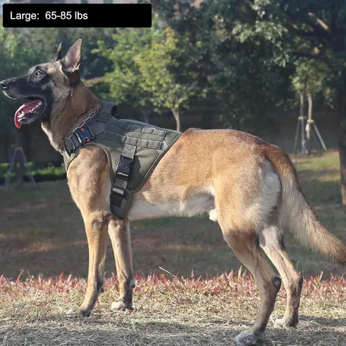 Miniatura 2 de ICEFANG - Arnés táctico para perro, talla L, 2 hebillas de metal, chaleco para transportar carga, ligero y modular (MOLLE) con mango, clip de correa