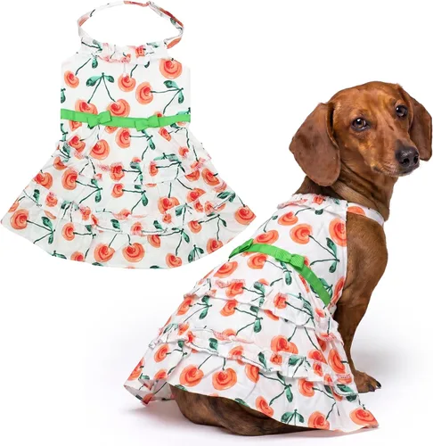 Miniatura 27 de Parisian Pet Chambray - Vestido para perro - Ligero sin mangas para perro, niña, talla XS Chambray en general