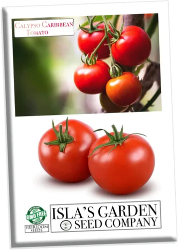 Calypso - Semillas de tomate caribeño para plantar, más de 100 semillas tradicionales por paquete, semillas de jardín de Isla (semillas de jardín de