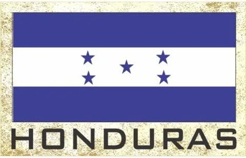 Miniatura 2 de Imanes para frigorífico con bandera - Americas Grp 2 (paquete de 1, País: Paraguay)