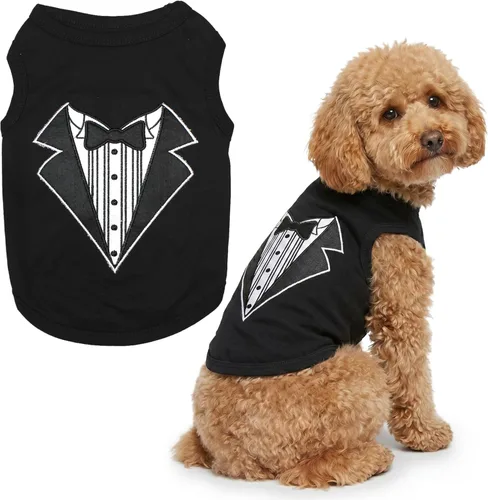 Miniatura 11 de Parisian Pet - Camiseta bordada para perros y gatos, con texto en inglés Sexy and I Know It, XS Sexy y lo sé