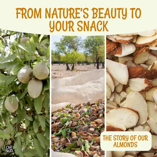 Miniatura 6 de Oh! Nuts Almendras naturales en rodajas – crudas – 100% naturales – 2 libras – Rebanadas de almendras altas en proteínas – Empaquetadas en bolsa