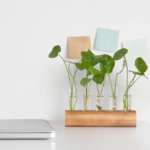 Miniatura 8 de Estaciones de propagación YIBOT, terrario de plantas con soporte de madera, regalos de jardinería de cumpleaños para mujeres, madres amantes