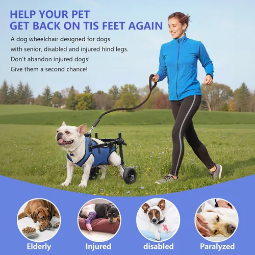 Miniatura 2 de Silla de ruedas para perros pequeños para patas traseras, perro estable, carrito para patas traseras discapacitadas, silla de ruedas ajustable