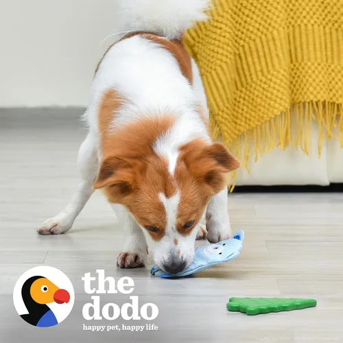 Miniatura 2 de The Dodo Woodland Animals - Juego de 2 juguetes para perros sin relleno: oso y árbol; juguete para perros sin peluche chirriante + juguete Oso