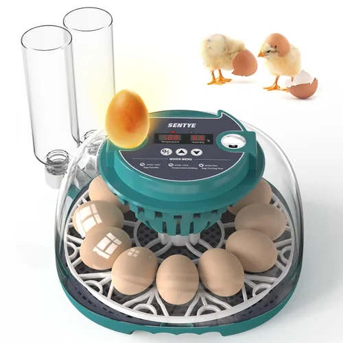 Incubadora automática de huevos para incubar huevos con pantalla LED de temperatura, control de humedad y volteador de huevos, incubadora de tapa