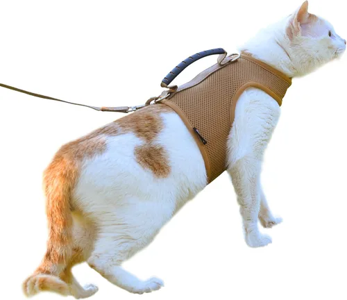 Miniatura 14 de Arnés de gato con correa, ajustable para gatos, chaleco acolchado para gatos, Black Plaid