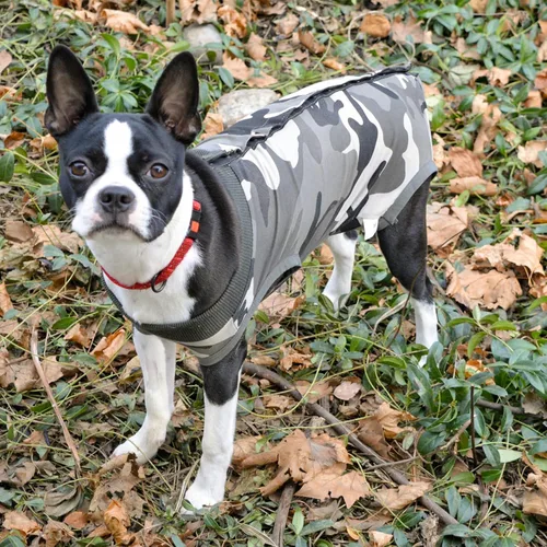 Miniatura 7 de Traje de recuperación para perros herida abdominal ropa quirúrgica para cachorros chaleco posoperatorio ropa para mascotas después de cirugía