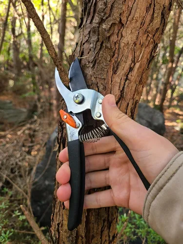 Miniatura 8 de Saboten Tijeras de podar Bypass de 7.9 pulgadas, hoja de acero al carbono de alta calidad con revestimiento de flúor, empuñadura antideslizante
