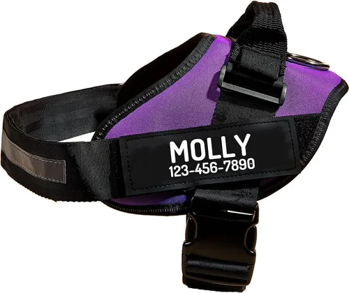 Miniatura 22 de Arnés personalizado sin tirones para perro con 2 parches personalizados para nombre y teléfono, chaleco reflectante transpirable para mascotas