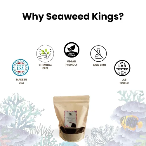 Miniatura 6 de Seaweed Kings Dulse Powder - Algas marinas crudas del Atlántico, mini copos, perfectas para aperitivos, condimentos, sopas y ensaladas, 100% puras