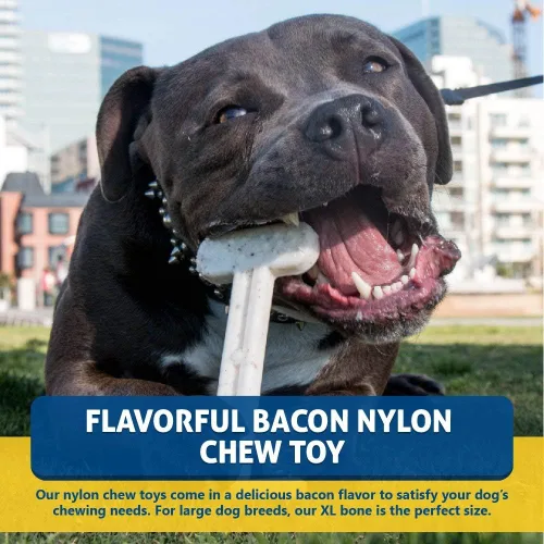 Miniatura 3 de Bullibone - Juguete de nylon para perros masticadores agresivos - Hueso para higiene dental con sabor a tocino, juguetes masticables resistentes