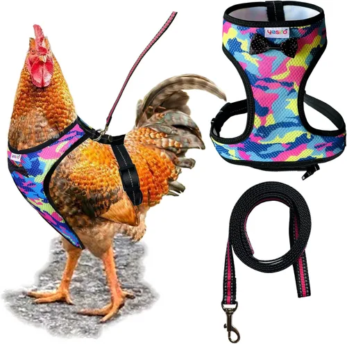Miniatura 24 de Pañal de arnés de pollo ajustable (correa de 5.4 pies), transpirable y lavable, entrenamiento seguro para gallinas, patos y pollitos Solución