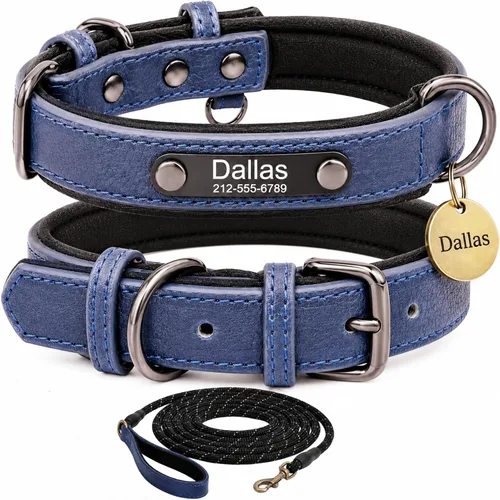 Miniatura 13 de Collar de cuero para perro personalizado y juego de correa, personalizado con diseño acolchado suave y resistente con placa de nombre grabada